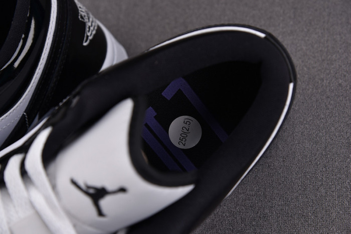 Air Jordan 1 Low SE Concord  DV1309-100