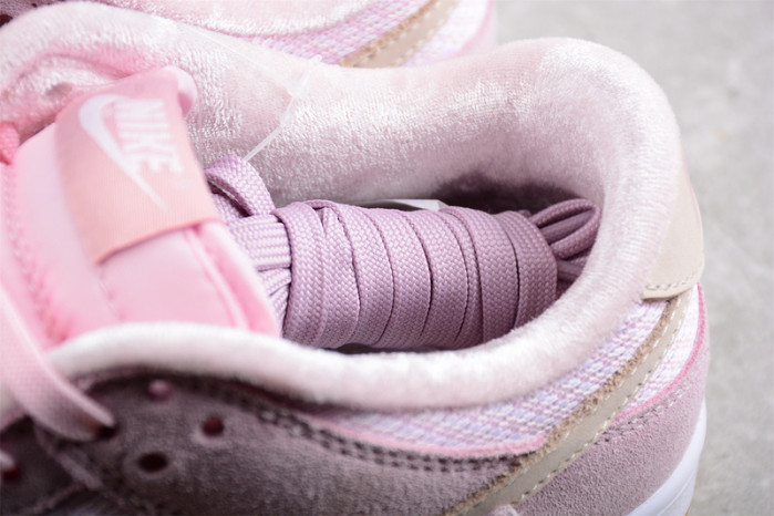 Nike Dunk Low Teddy Bear  DZ5318-640