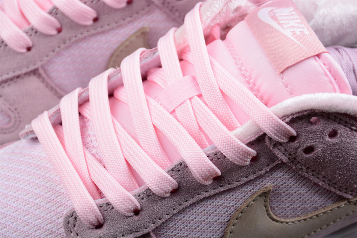 Nike Dunk Low Teddy Bear  DZ5318-640