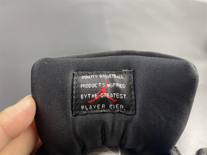 Air Jordan 11 “Animal Instinct” AR0715-010