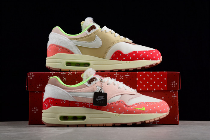 Nike Air Max 1 Best Friend DR2553-111