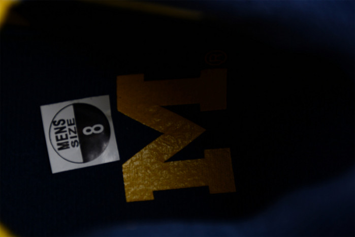 AIR Jordan 4 Retro Michigan (PE)  AJ4-1036660