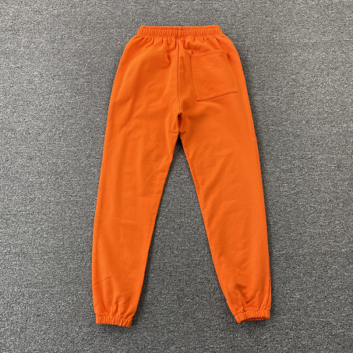 Spider PANTS14