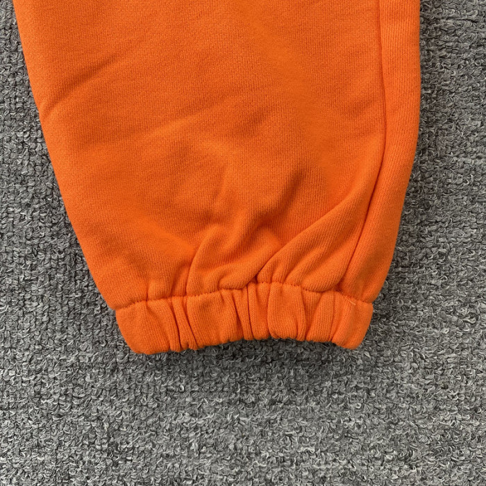 Spider PANTS14