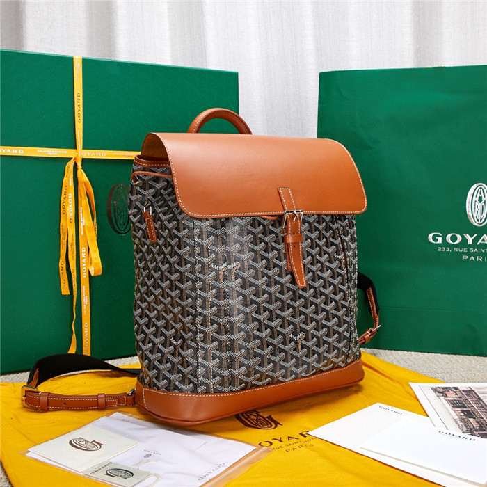 GOYARD BAG4
