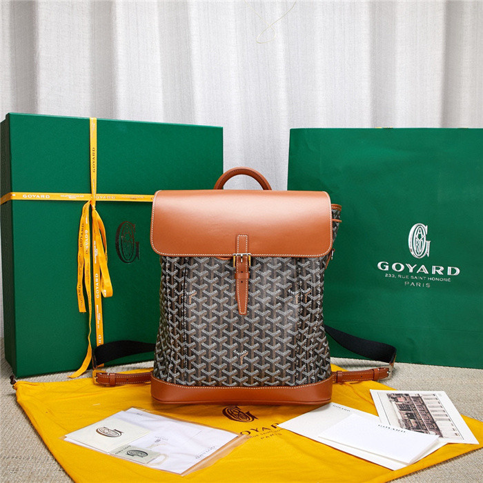 GOYARD BAG4