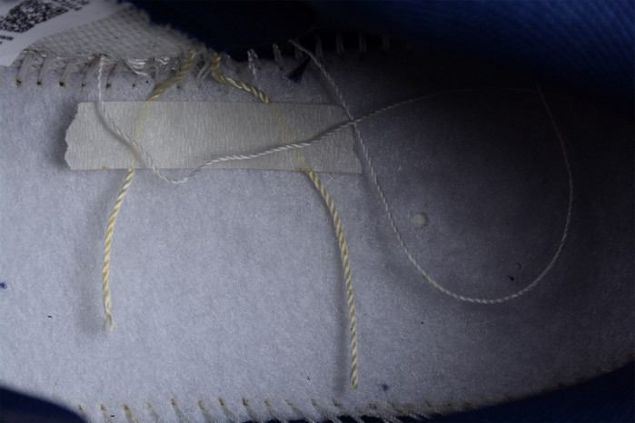 Nike Dunk Low Michigan DD1391-701