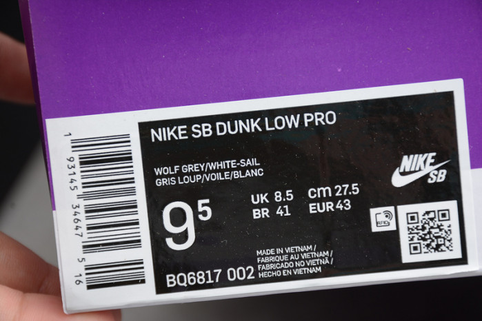 NIKE DUNK LOW  BQ6817-002