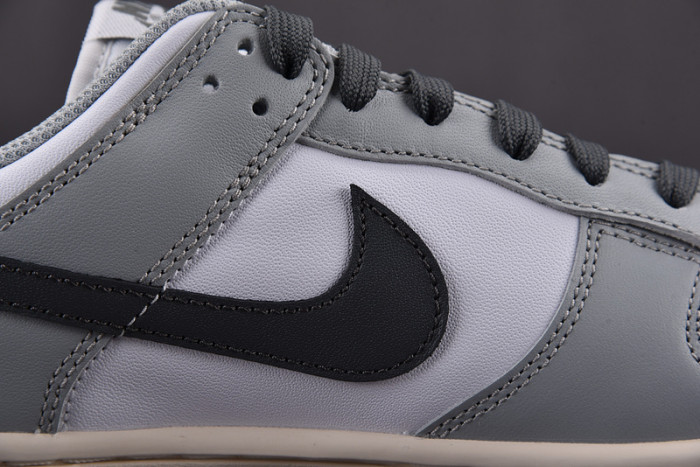 Nike Dunk Low Light Smoke Grey DD1503-117