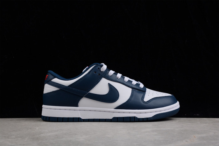 Nike Dunk Low Valerian Blue DD1391-400