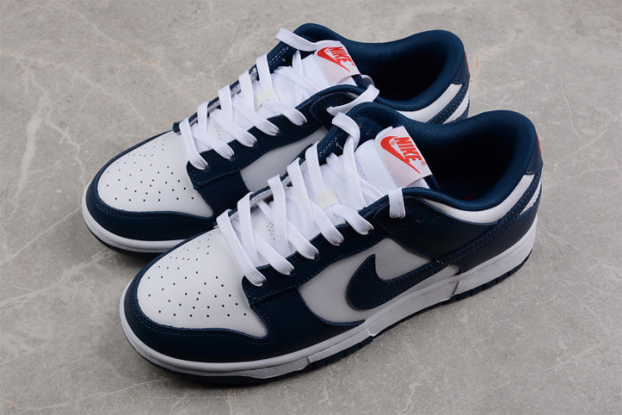 Nike Dunk Low Valerian Blue DD1391-400