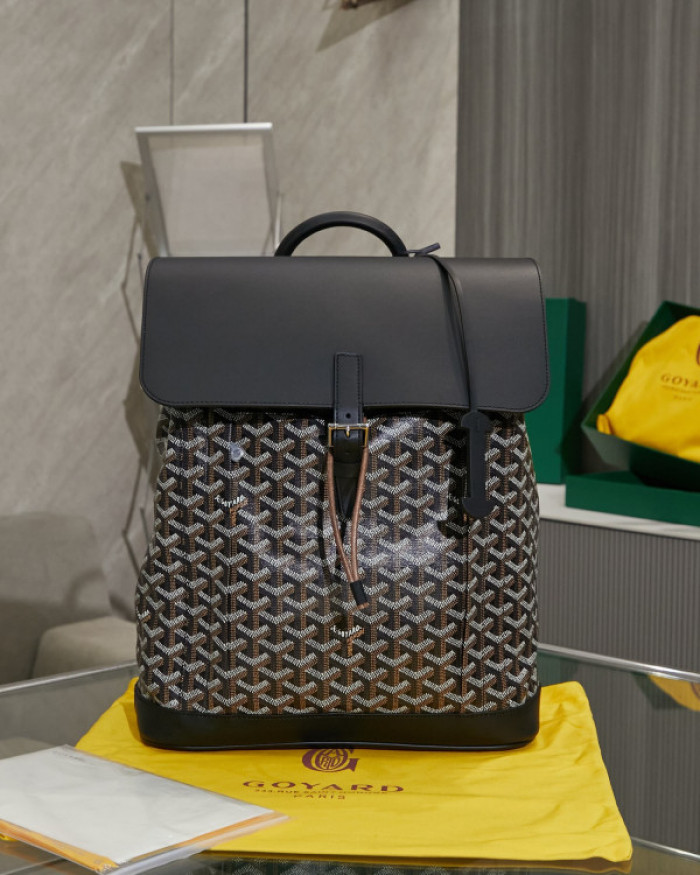 GOYARD BAG12