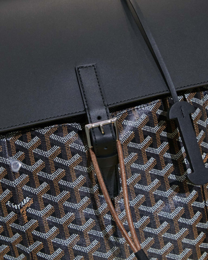 GOYARD BAG12