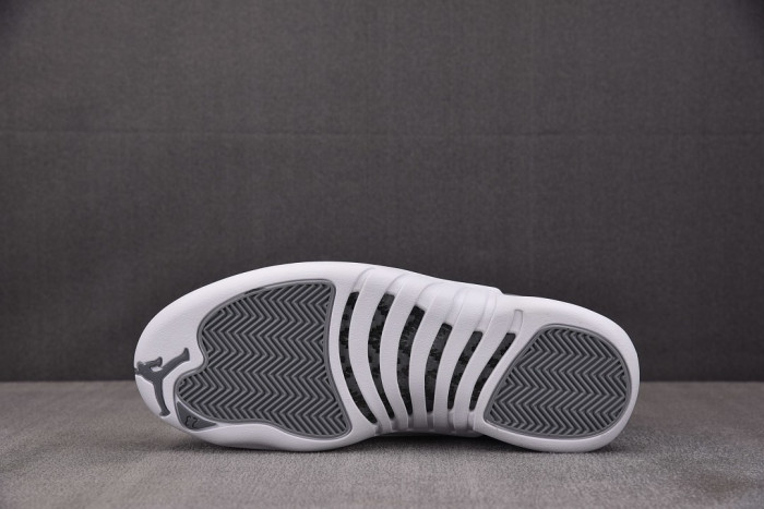 Air Jordan 12 Retro 