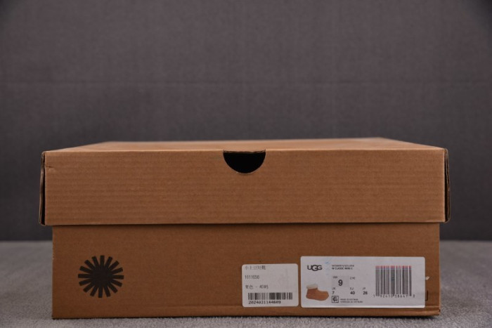 UGG BOOTS UGG000047