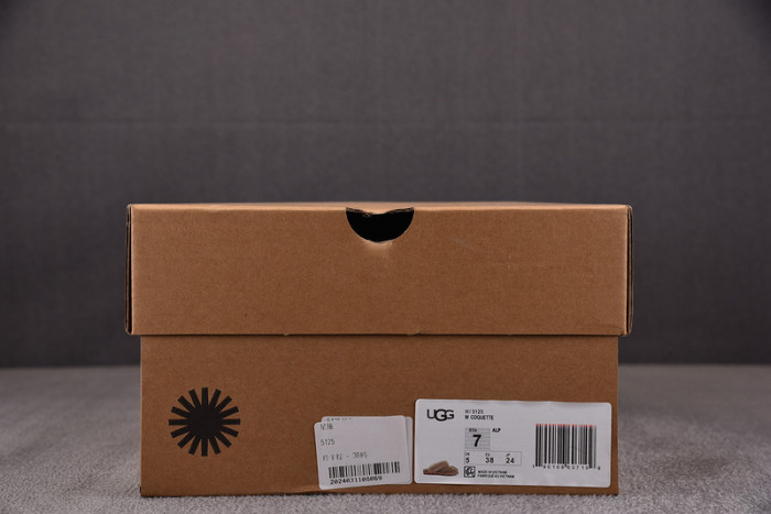 UGG SANDALS 5