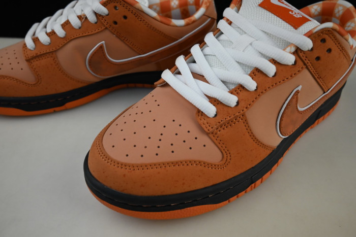 nike sb dunk low concepts orange lobster fd8776-800