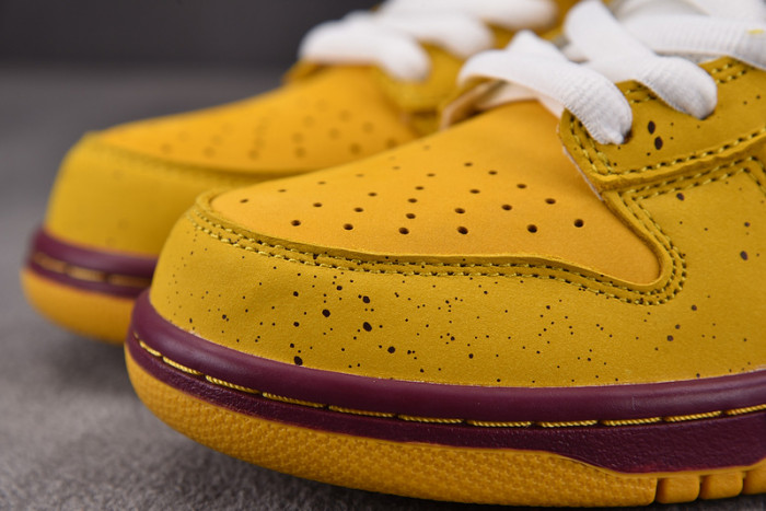 nike dunk sb low premium yellow lobster 313170-137