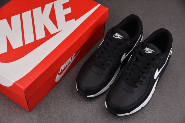 Nike Air Max 90 Leather GS 